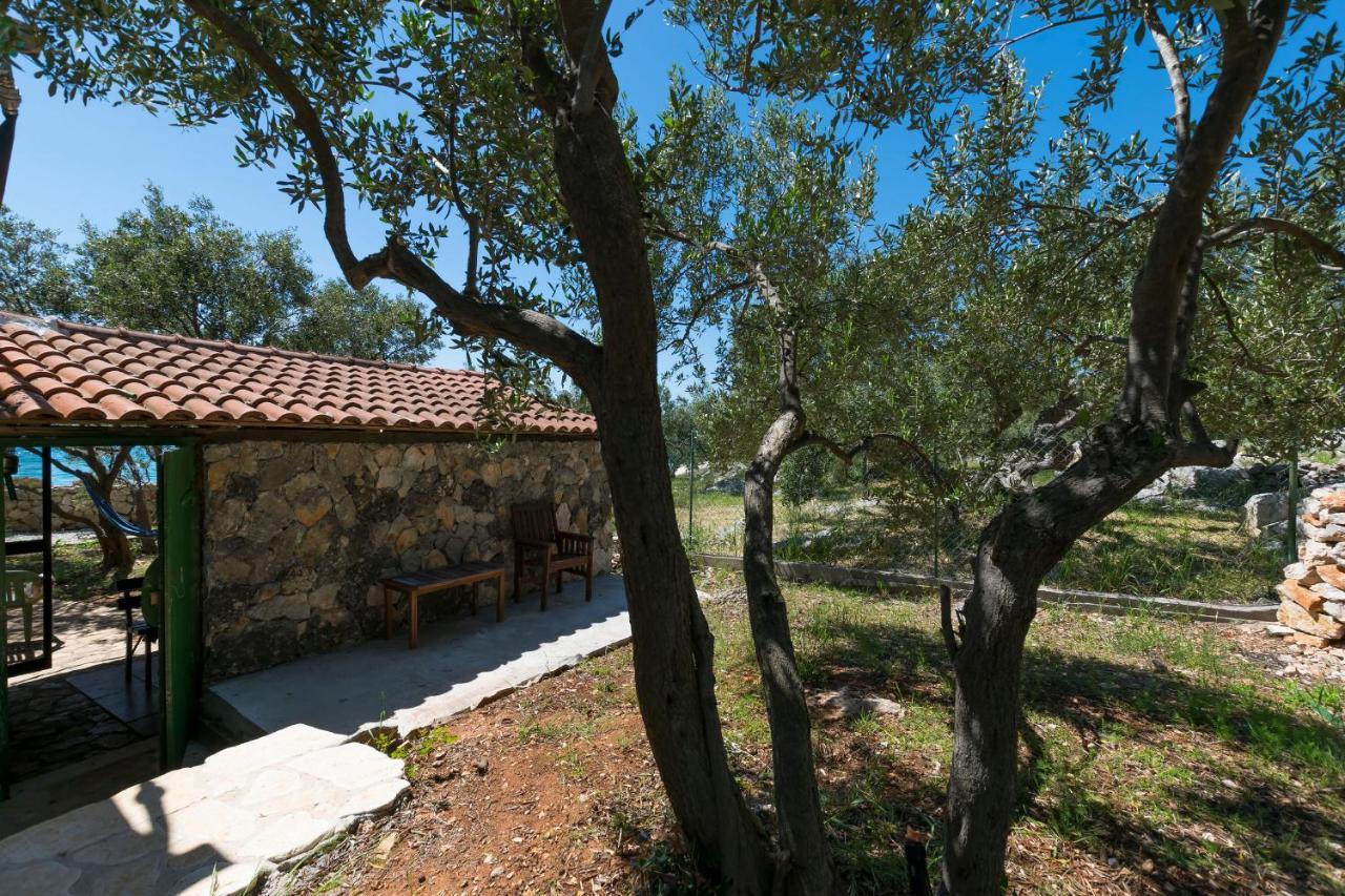 فيلا House Hacienda Stoerman تكون المظهر الخارجي الصورة
